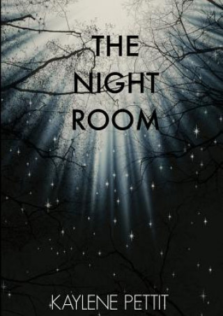 Libro Night Room Kaylene Pettit