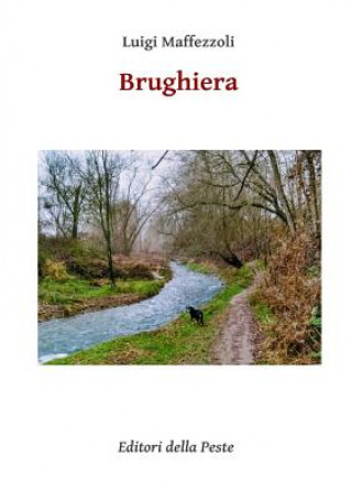 Книга Brughiera Luigi Maffezzoli