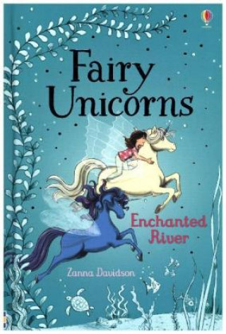 Kniha Fairy Unicorns Enchanted River Zanna Davidson