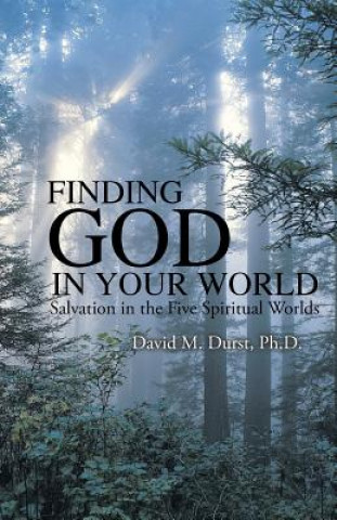 Książka Finding God in Your World PH.D. DAVID M DURST