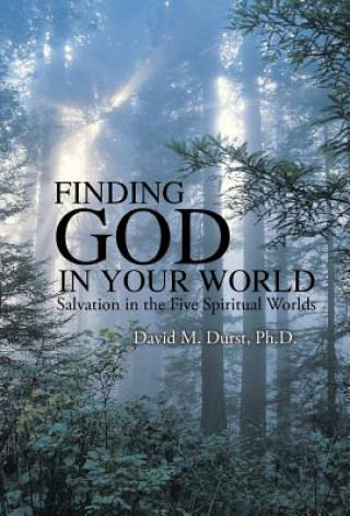 Kniha Finding God in Your World PH.D. DAVID M DURST