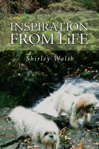 Książka Inspiration from Life SHIRLEY WALSH