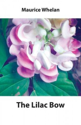 Book Lilac Bow MAURICE WHELAN