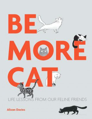 Kniha Be More Cat Alison Davies