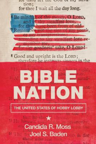Könyv Bible Nation Candida R. Moss