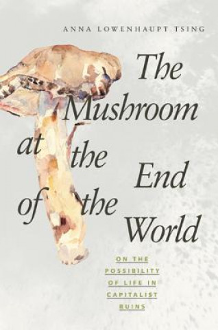 Carte Mushroom at the End of the World Anna Lowenhaupt Tsing