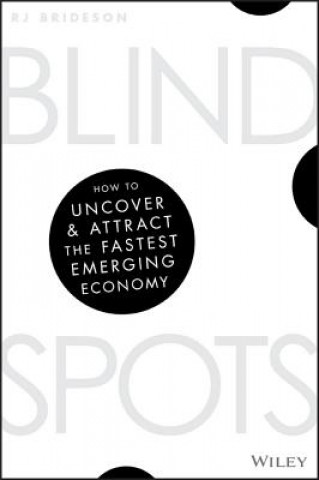 Buch Blind Spots Bec Brideson