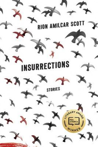 Buch Insurrections Rion Amilcar Scott