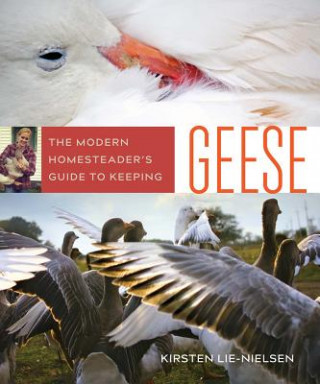 Książka Modern Homesteader's Guide to Keeping Geese Kirsten Lie-Nielsen