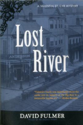 Kniha Lost River David Fulmer