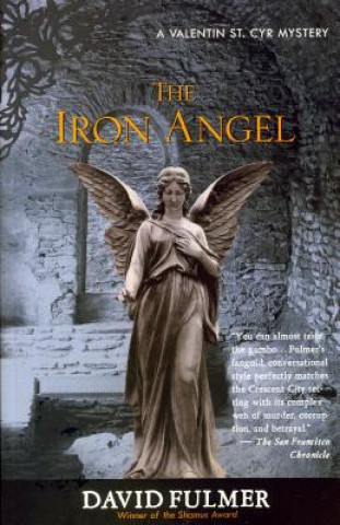 Libro Iron Angel David Fulmer