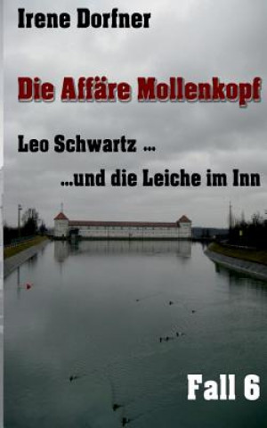 Könyv Die Affare Mollenkopf Irene Dorfner