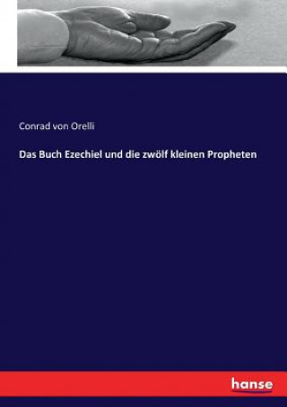 Livre Buch Ezechiel und die zwoelf kleinen Propheten Conrad von Orelli