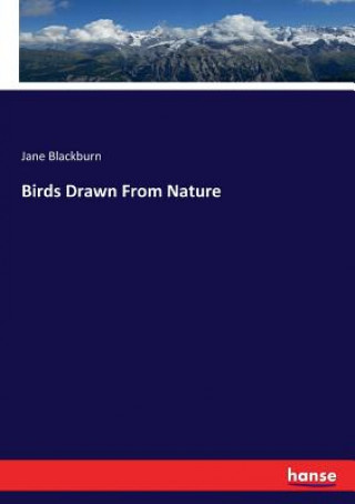 Carte Birds Drawn From Nature Jane Blackburn