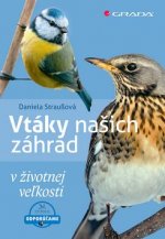 Kniha Vtáky našich záhrad Daniela Straußová