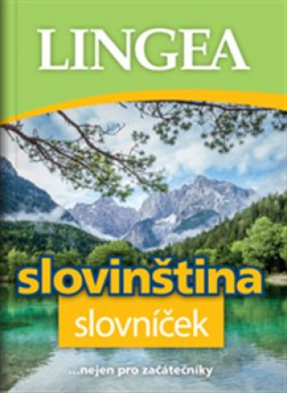 Book Slovinština slovníček collegium