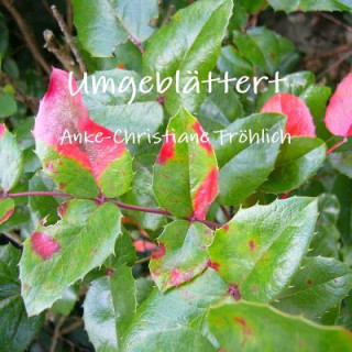 Boek Umgeblattert Anke-Christiane Frohlich
