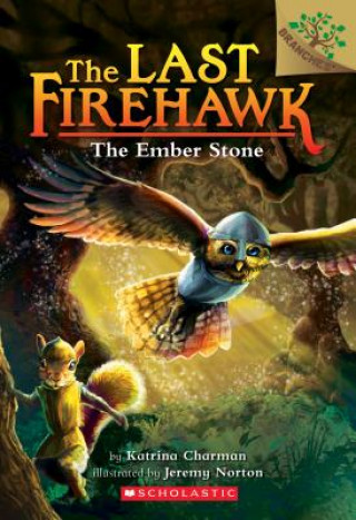 Kniha Ember Stone: A Branches Book (The Last Firehawk #1) Katrina Charman