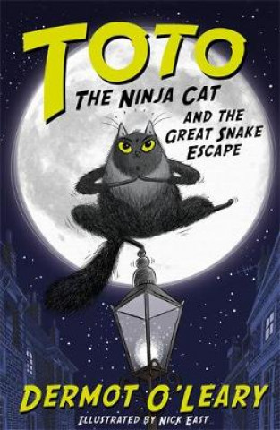Könyv Toto the Ninja Cat and the Great Snake Escape Dermot O'Leary