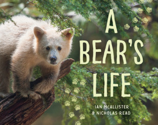Könyv A Bear's Life Ian McAllister