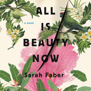 Audio All Is Beauty Now Sarah Faber