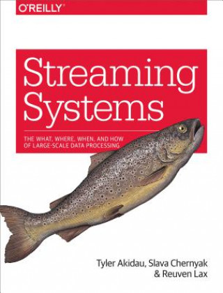 Книга Streaming Systems Tyler Akidau