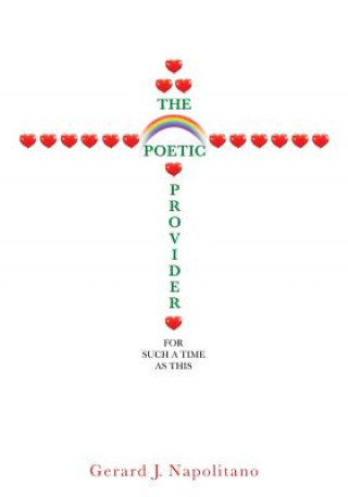 Knjiga Poetic Provider Gerard J. Napolitano