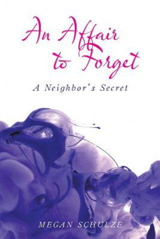 Kniha Affair to Forget Megan Schulze