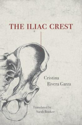 Könyv Iliac Crest Cristina Rivera Garza