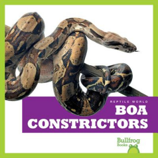 Kniha Boa Constrictors Imogen Kingsley