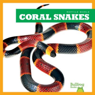 Könyv Coral Snakes Imogen Kingsley