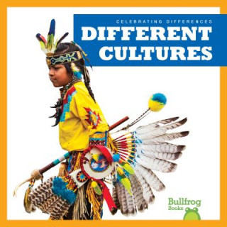 Kniha Different Cultures Rebecca Pettiford