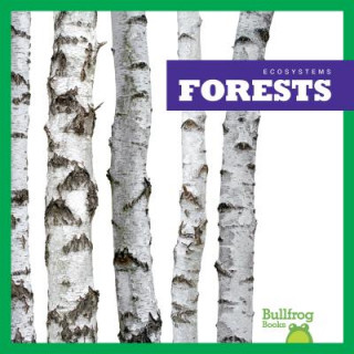 Kniha Forests Nadia Higgins