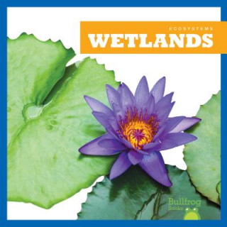 Libro Wetlands Nadia Higgins