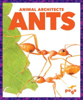 Kniha Ants Karen Latchana Kenney