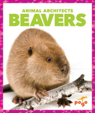 Kniha Beavers Karen Latchana Kenney