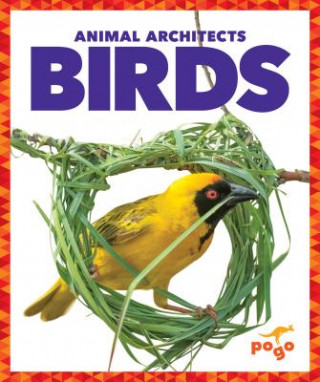 Kniha Birds Karen Latchana Kenney