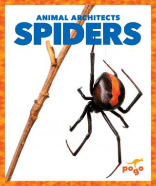 Könyv Spiders Karen Latchana Kenney