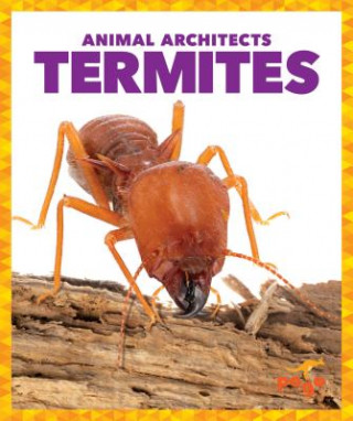 Kniha Termites Karen Latchana Kenney