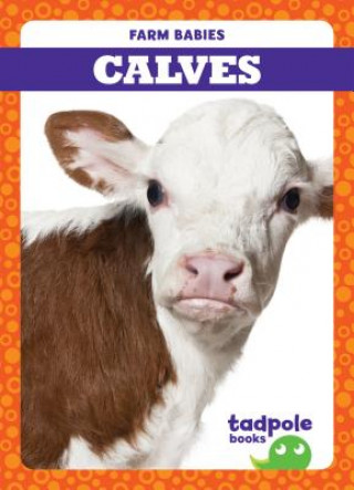 Kniha Calves Tim Mayerling
