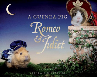 Könyv A Guinea Pig Romeo & Juliet William Shakespeare