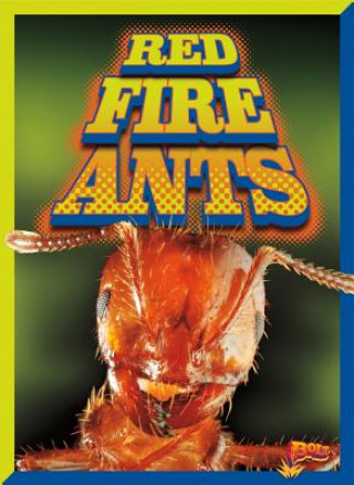 Könyv Red Fire Ants Scott Pearson