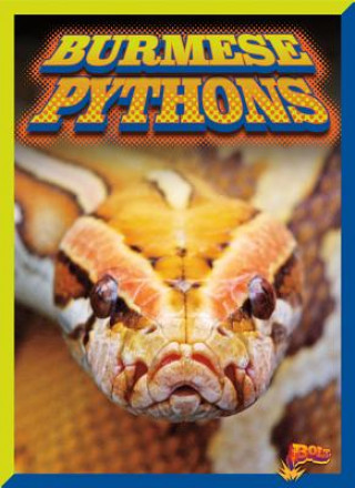 Carte Burmese Pythons Barbara Ciletti