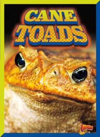 Książka Cane Toads Barbara Ciletti