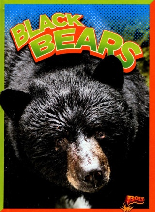 Könyv Black Bears Gail Terp