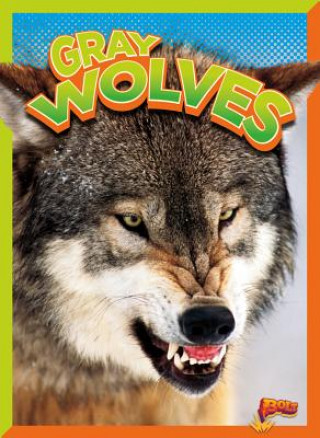 Książka Gray Wolves Gail Terp