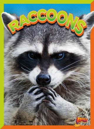 Kniha Raccoons Gail Terp