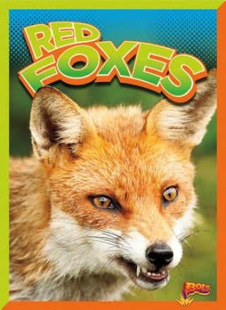 Carte Red Foxes Gail Terp