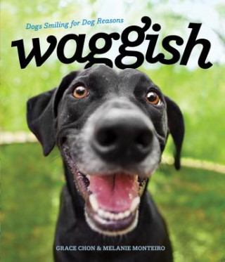 Βιβλίο Waggish Grace Chon