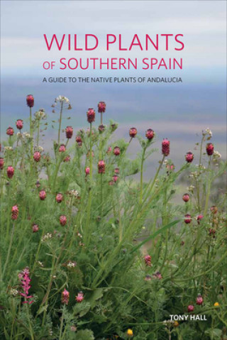 Книга Wild Plants of Southern Spain Tony Hall